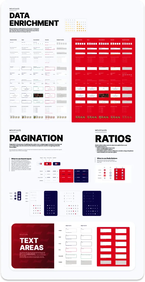 Documentación de Data Enrichment, Pagination, Ratios y Text Areas con todos sus estados